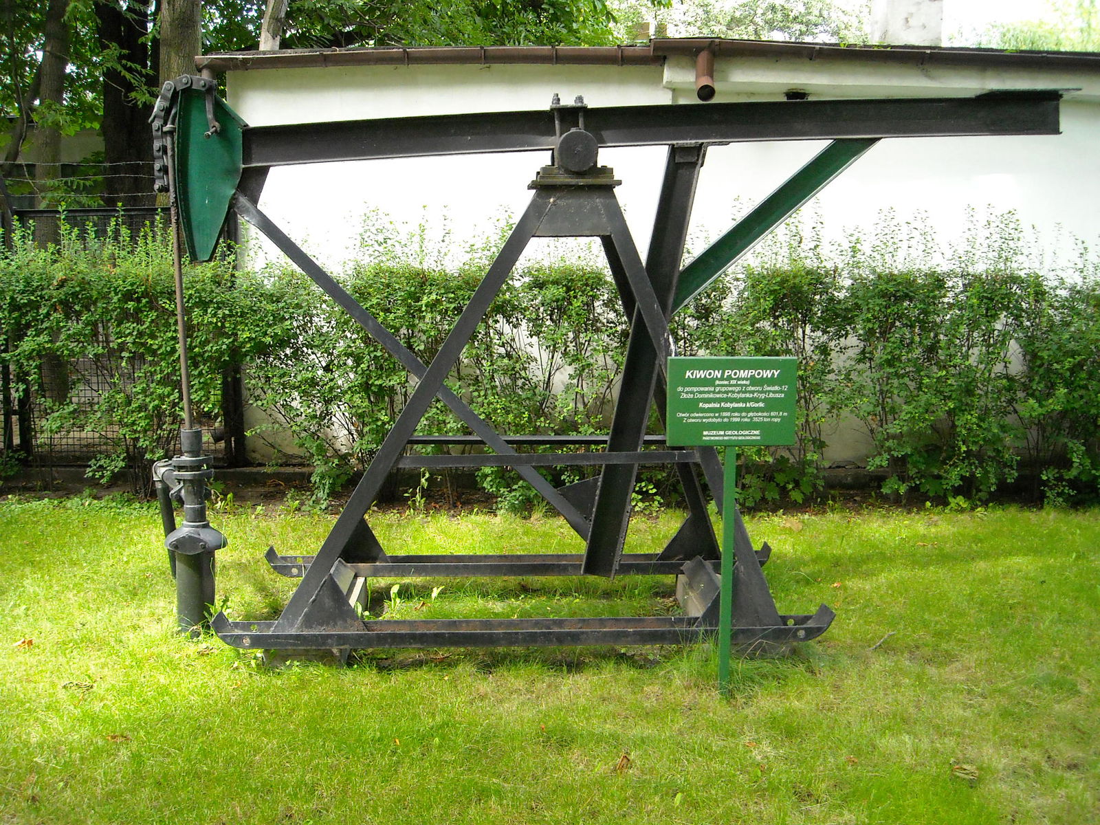 Geological Museum of the Polish Geological Institute