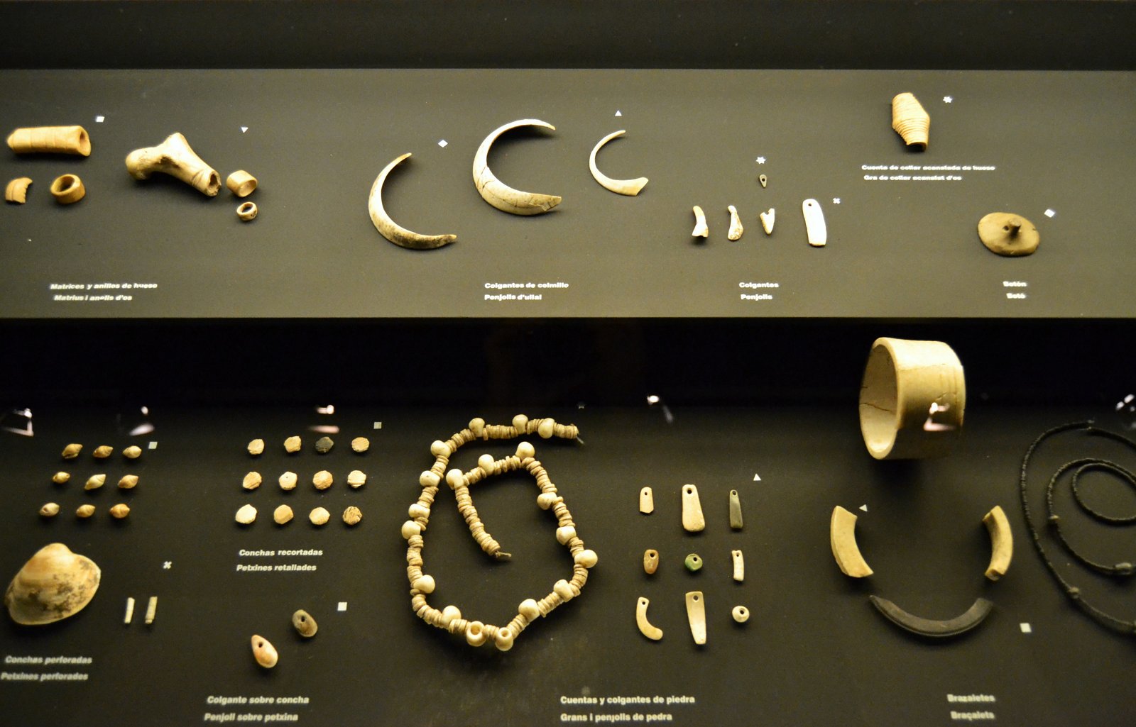 Museo Arqueológico Provincial de Alicante