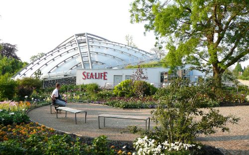 SEA LIFE Hanover