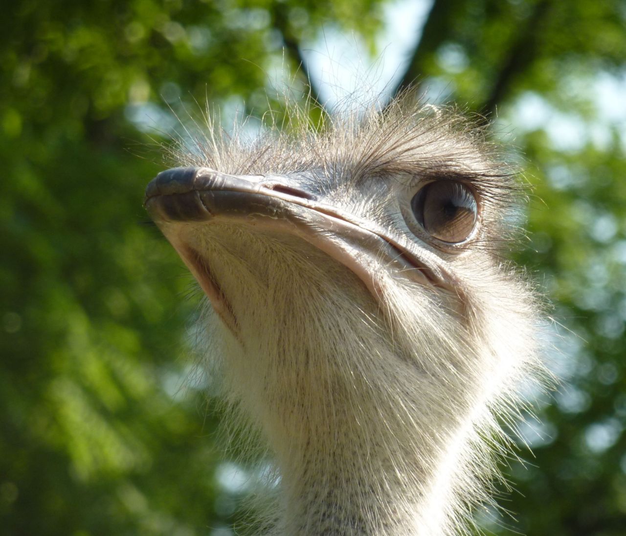 Wilhelma Zoo and Botanical Garden (Stuttgart) - Información para ...