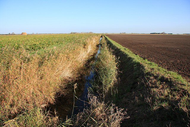 Flag Fen - Peterborough Archaeology