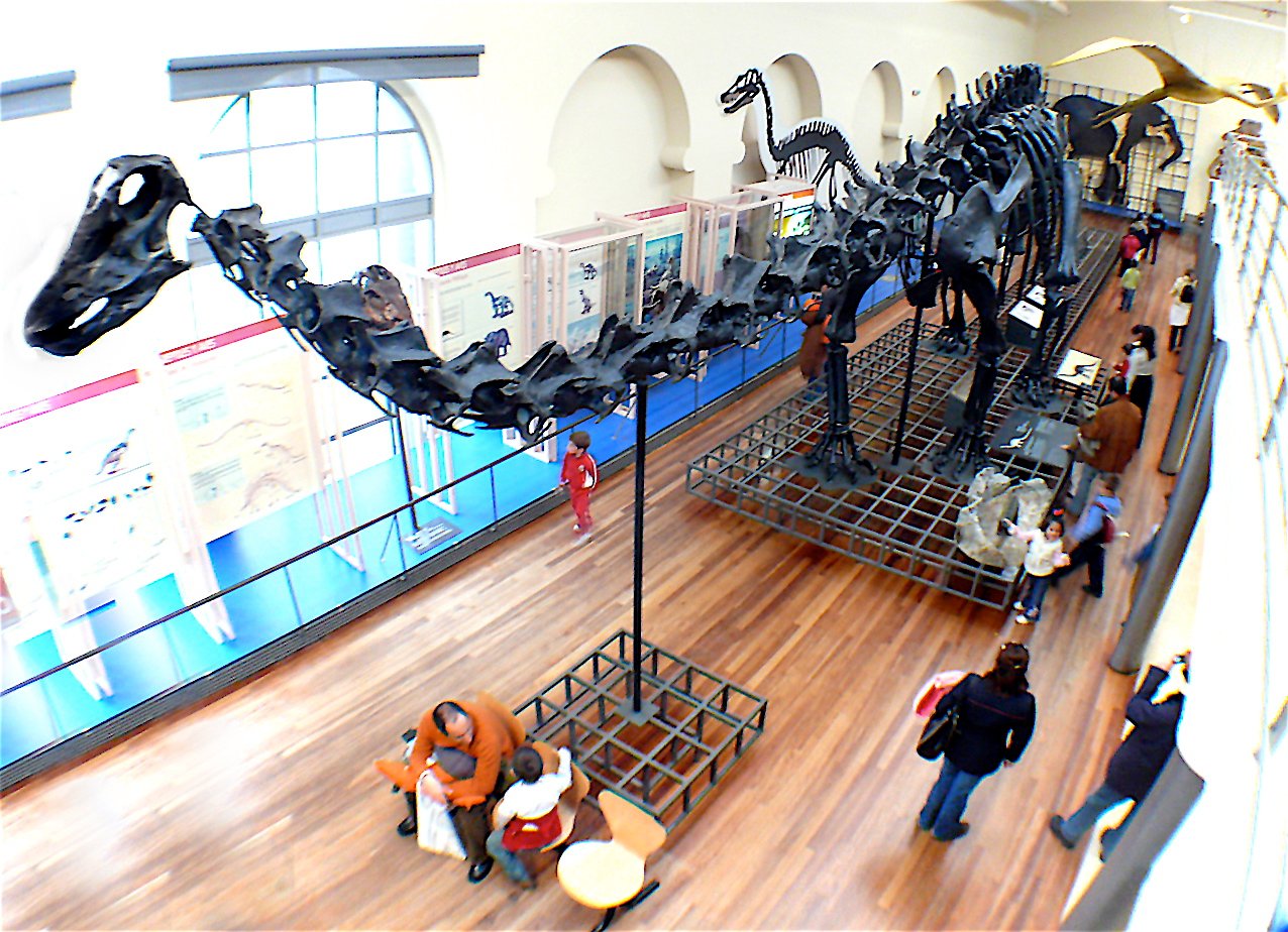 National Museum of Natural Sciences of Spain