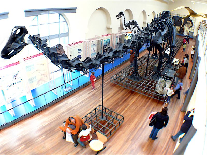 National Museum of Natural Sciences of Spain