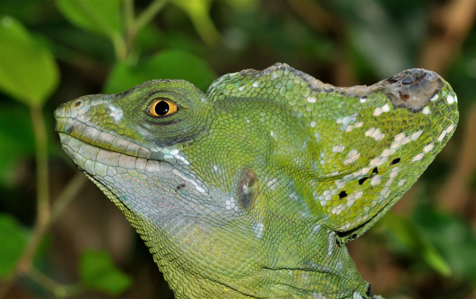 Wilhelma Zoo and Botanical Garden