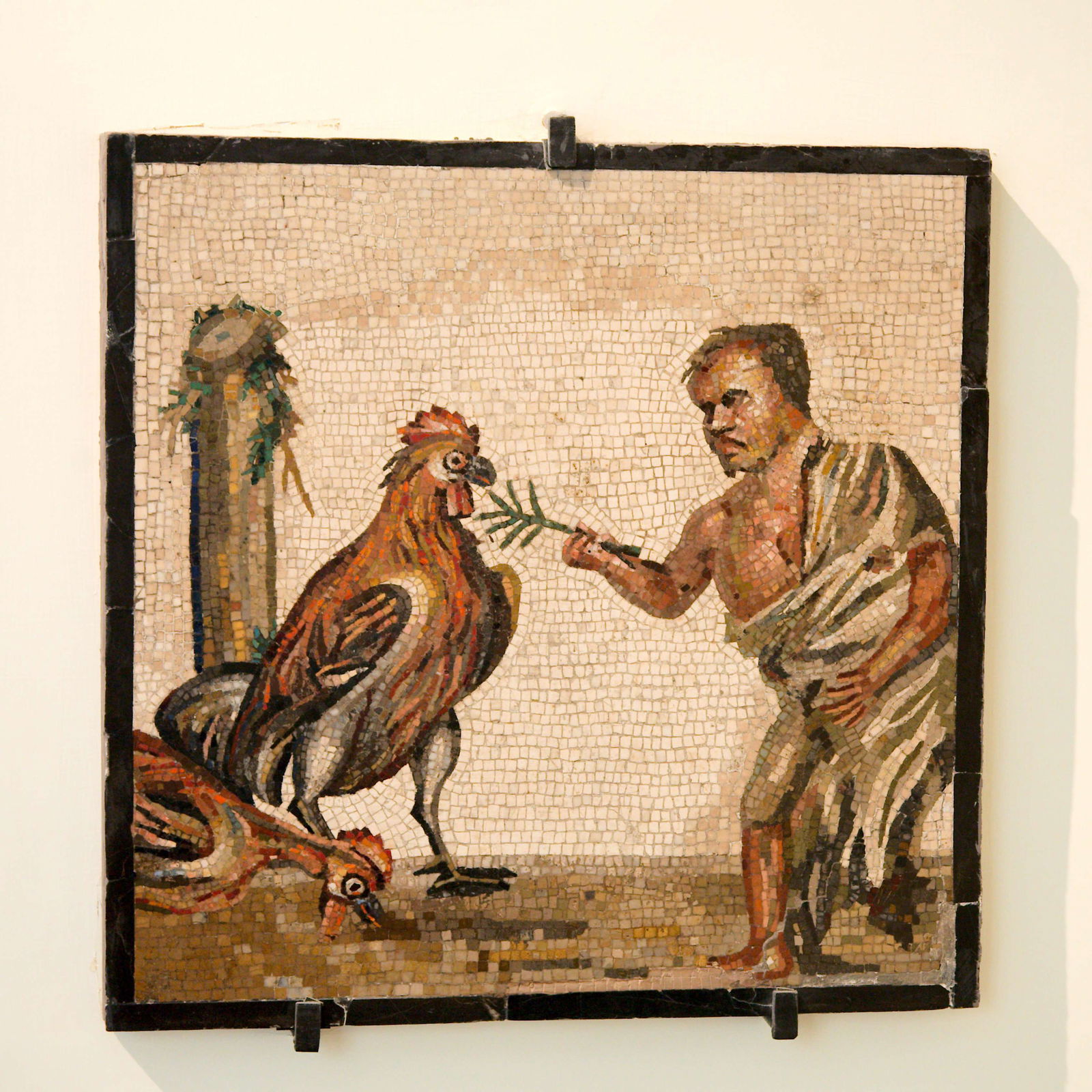 Museo Archeologico Nazionale di Napoli