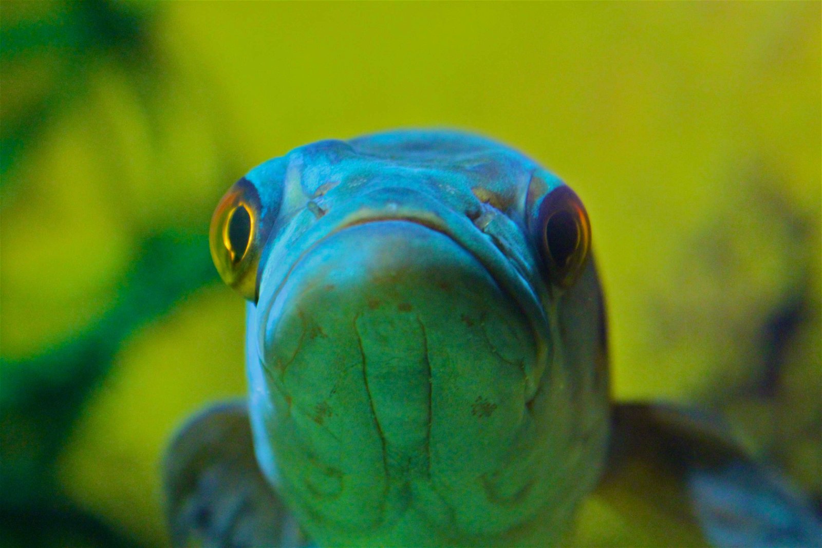 Aquazoo – Löbbecke-Museum Düsseldorf