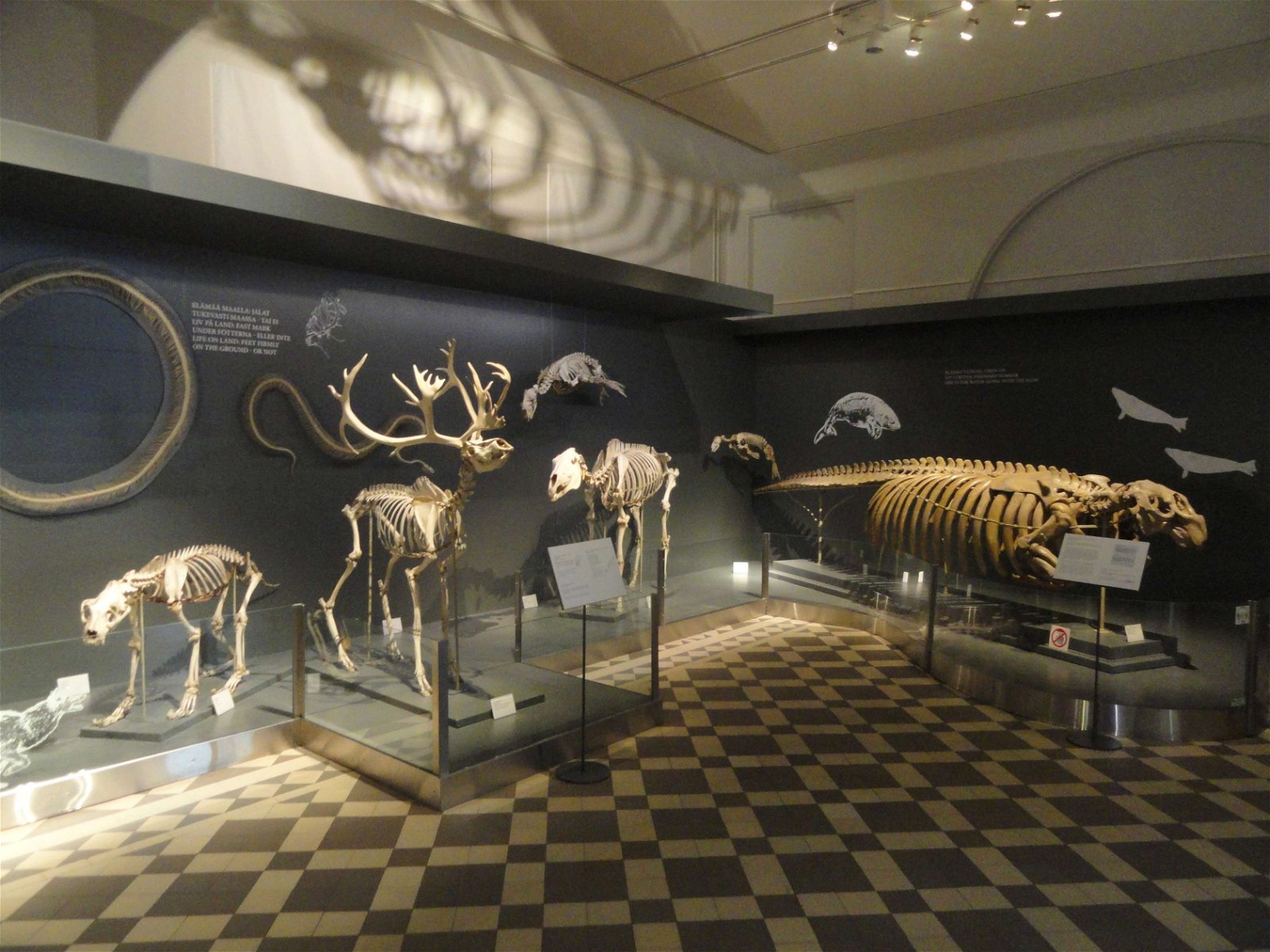 Finnish Museum of Natural History