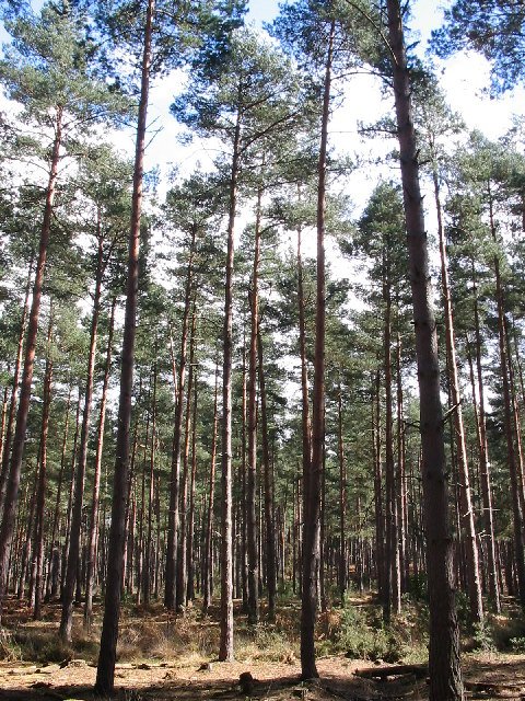 The Look Out Discovery Centre
