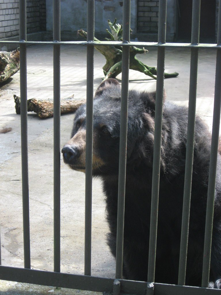 Tallinn Zoo