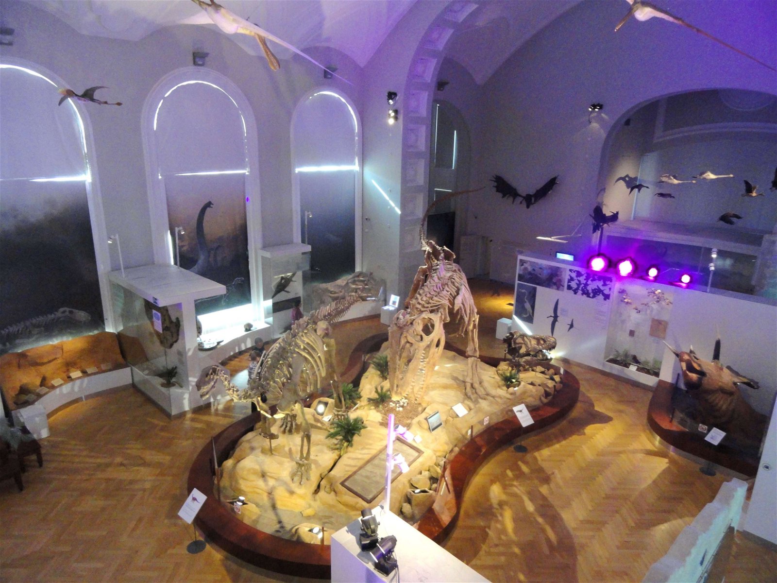 Finnish Museum of Natural History