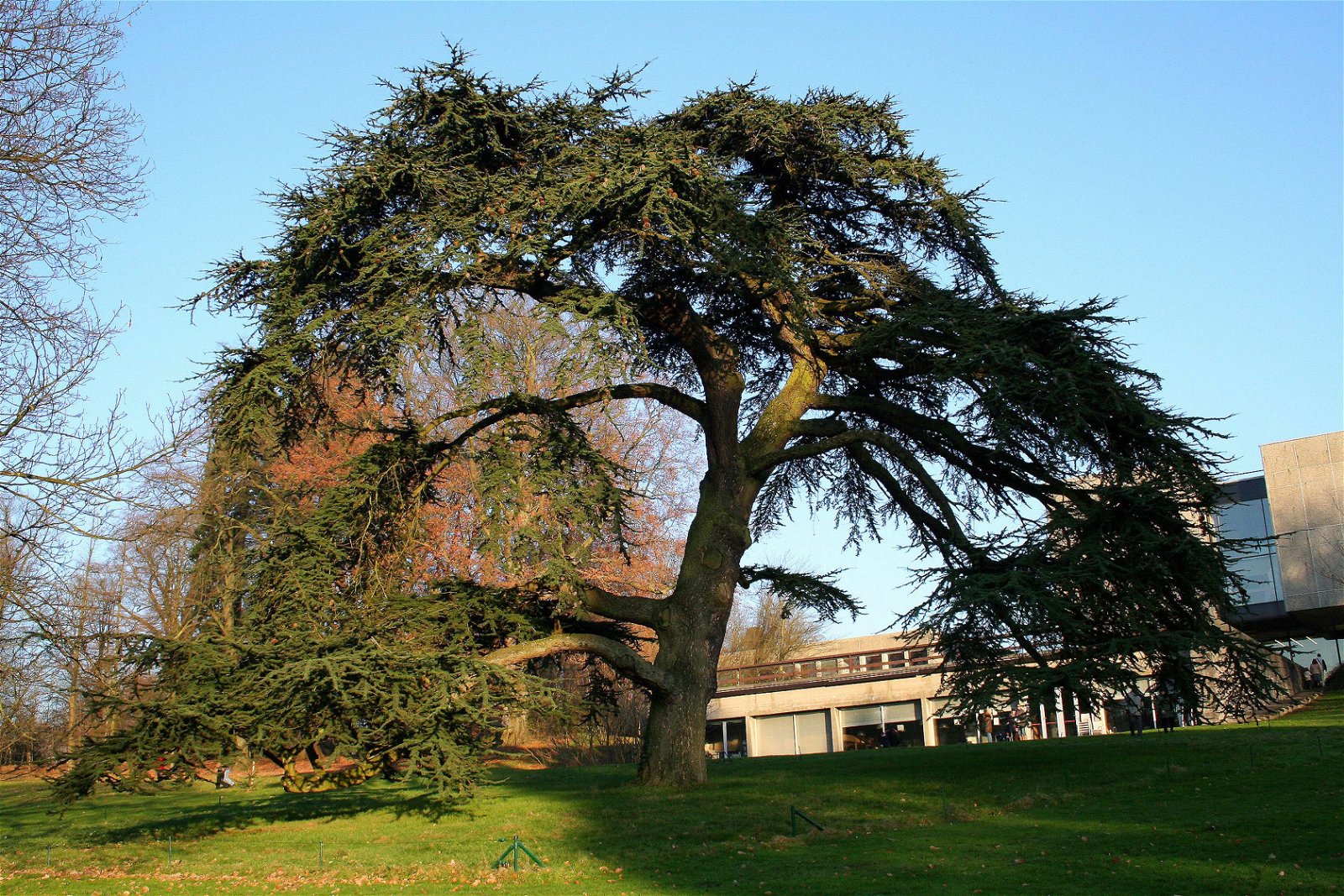 Royal Museum of Mariemont