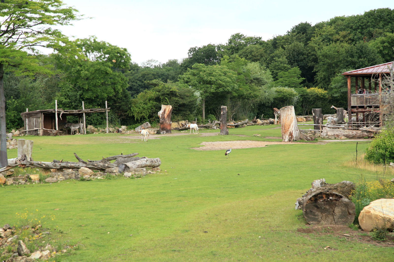 Zoologischer Garten Leipzig