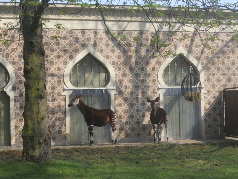 Antwerp Zoo