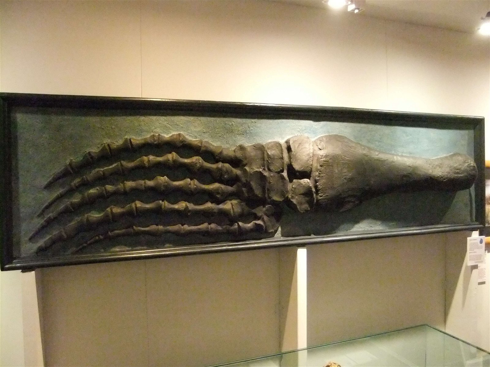 Wrexham County Borough Museum and Archives