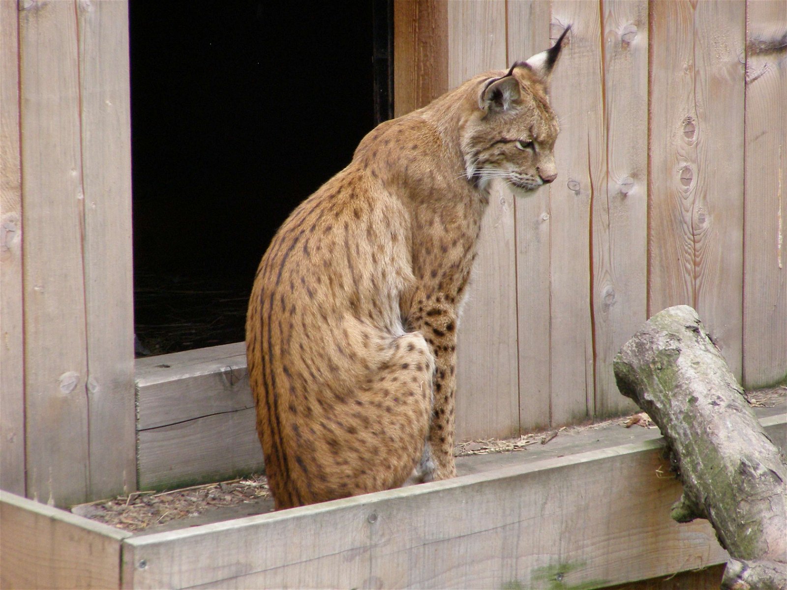 Wroclaw Zoo & Africarium