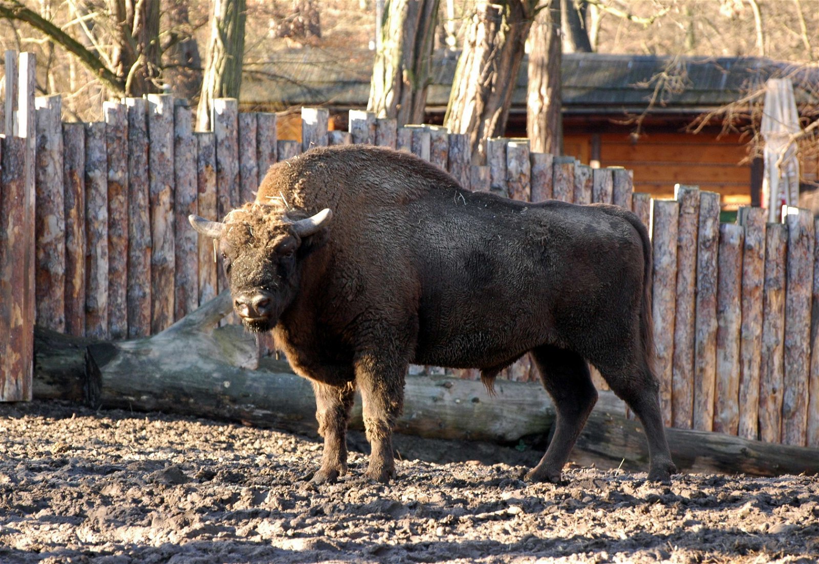 Wroclaw Zoo & Africarium