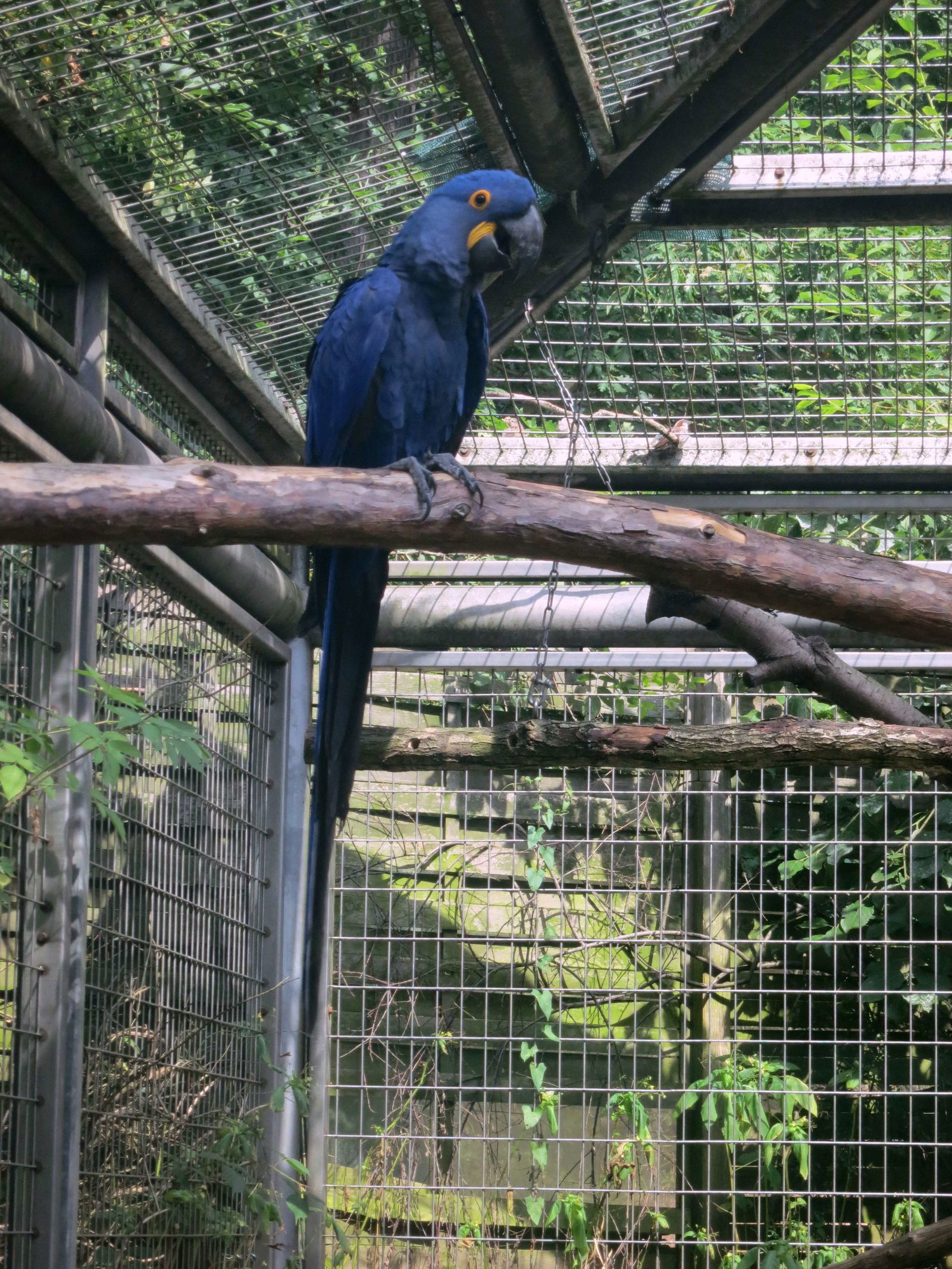 Tiergarten Nürnberg