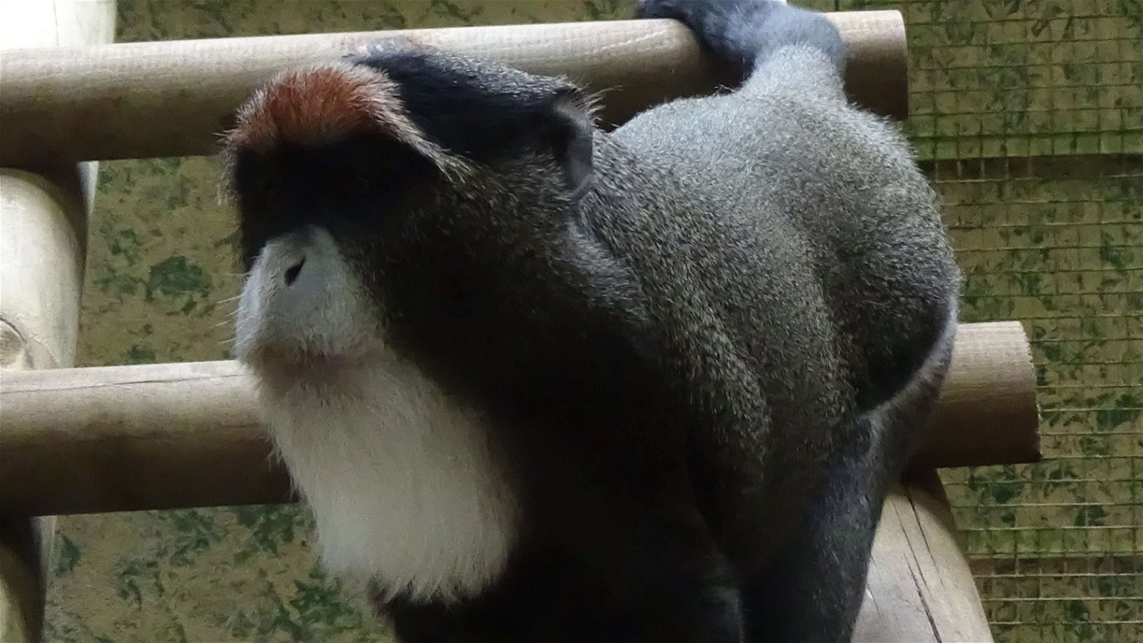 Ménagerie du Jardin des Plantes