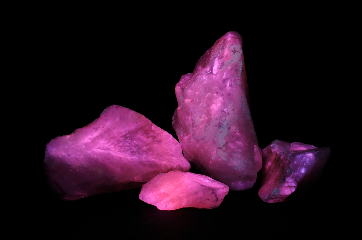 Herbert Art Gallery and Museum