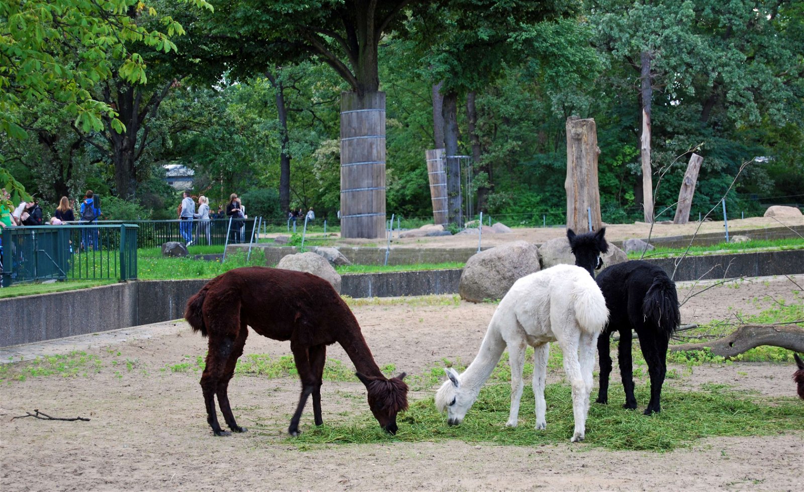 Berlin Zoological Garden