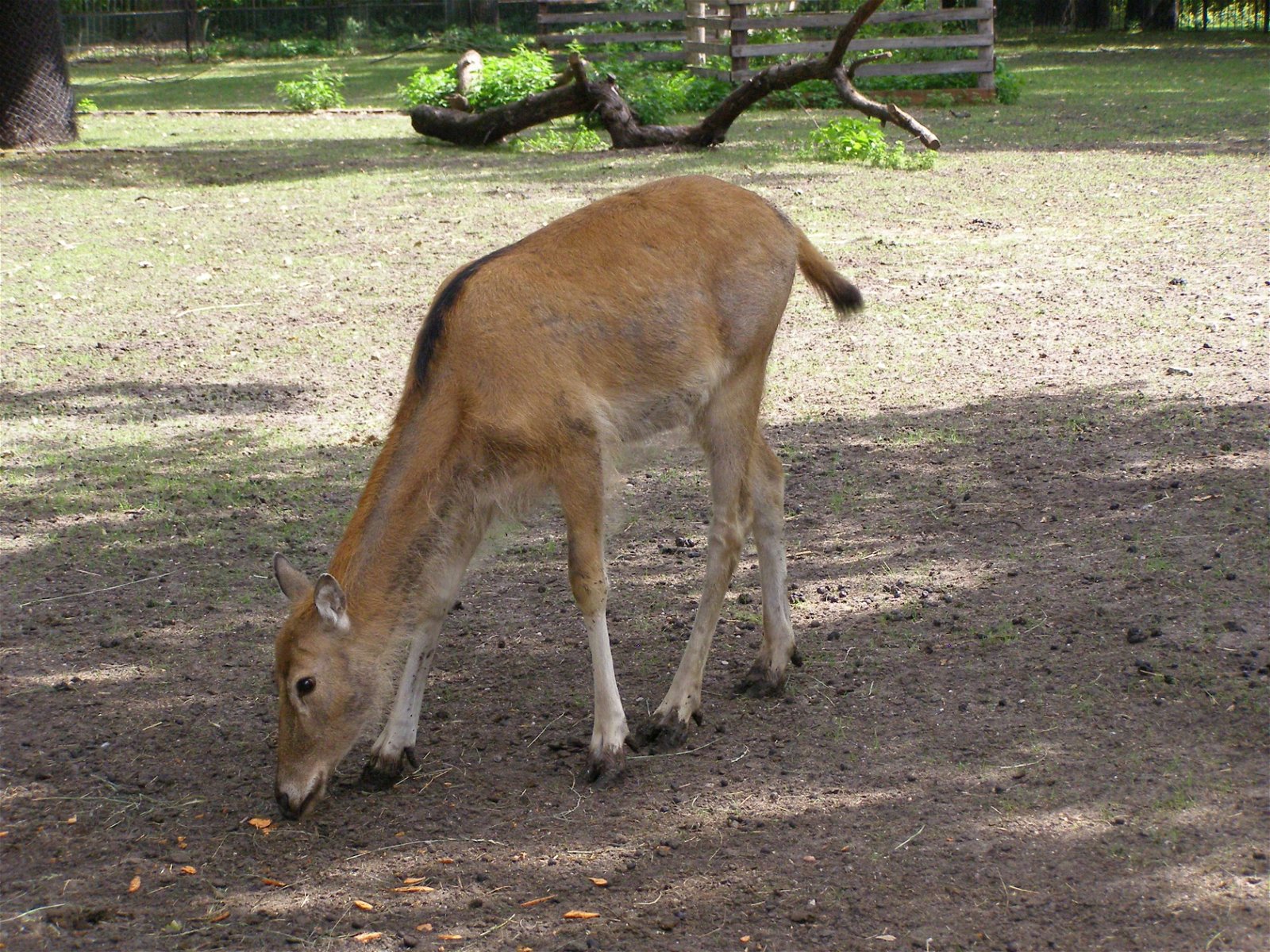 Wroclaw Zoo & Africarium