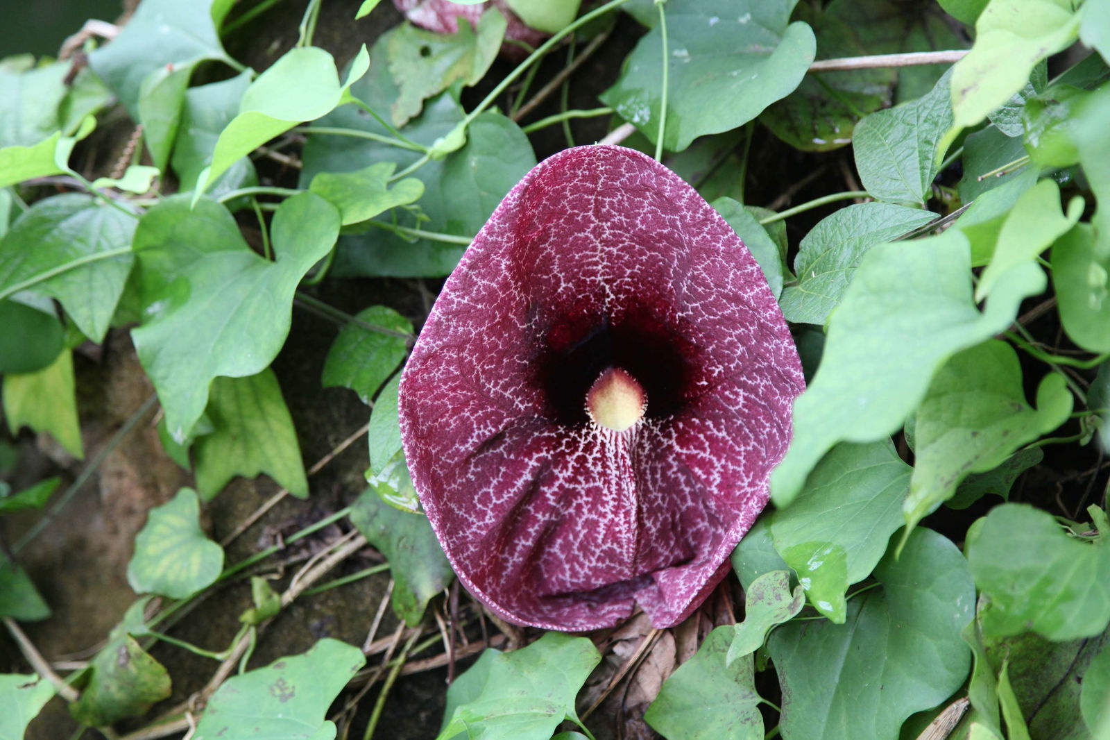 Zoologischer Garten Leipzig