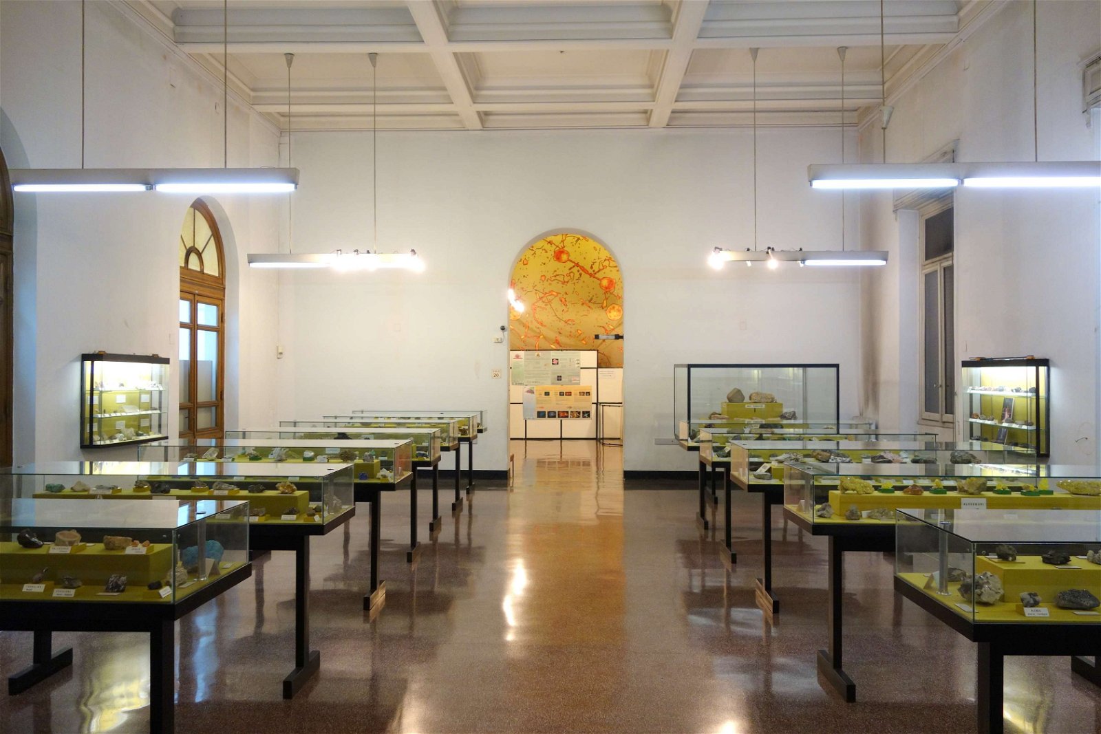 Museo Civico di Storia Naturale Giacomo Doria