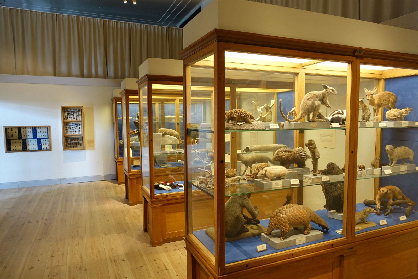 Swedish Museum of Natural History