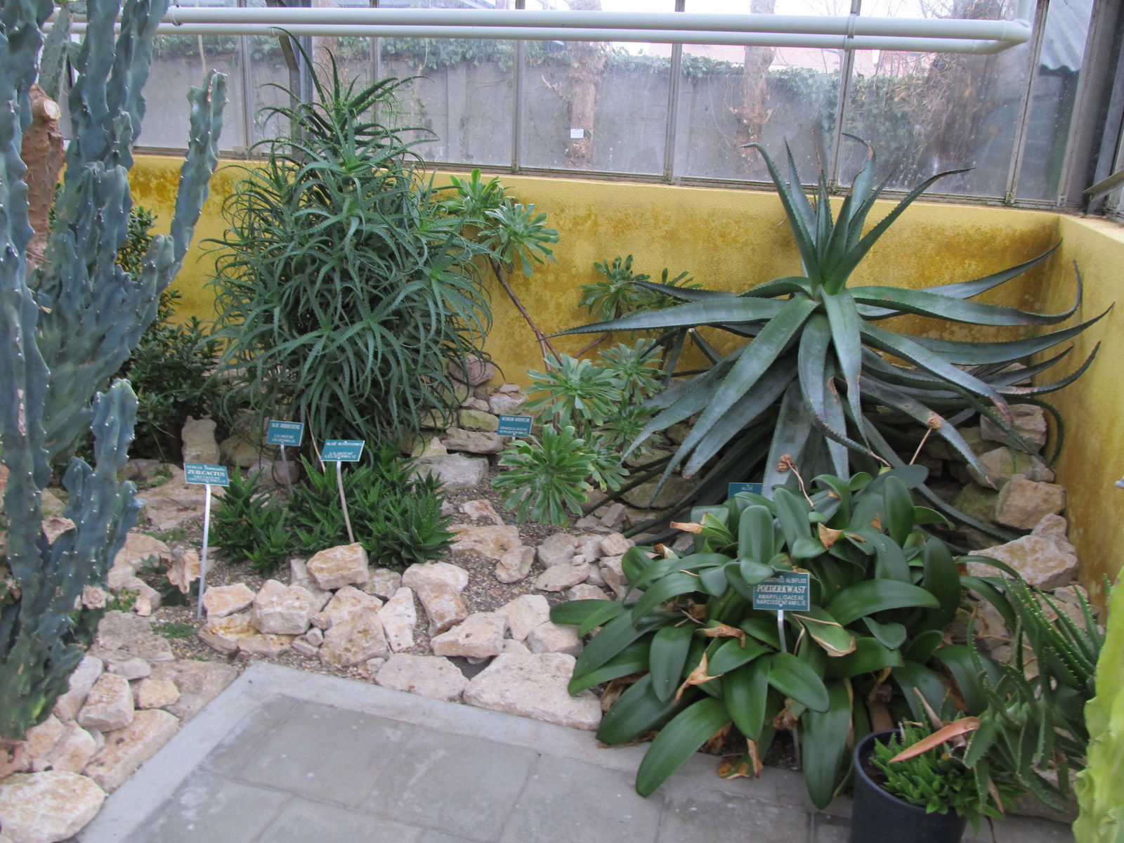 De wereld van Kina: de Tuin