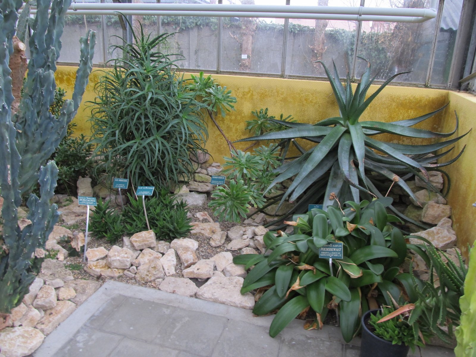 De wereld van Kina: de Tuin