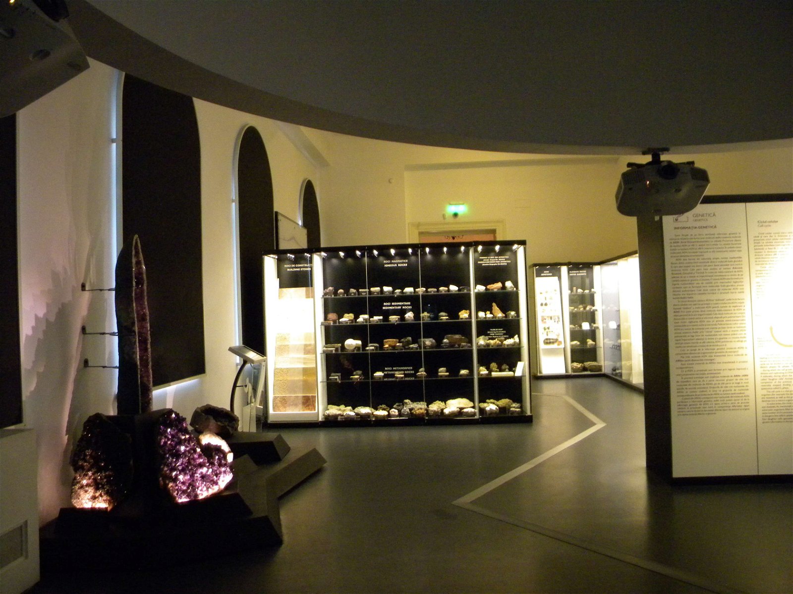 Grigore Antipa National Museum of Natural History