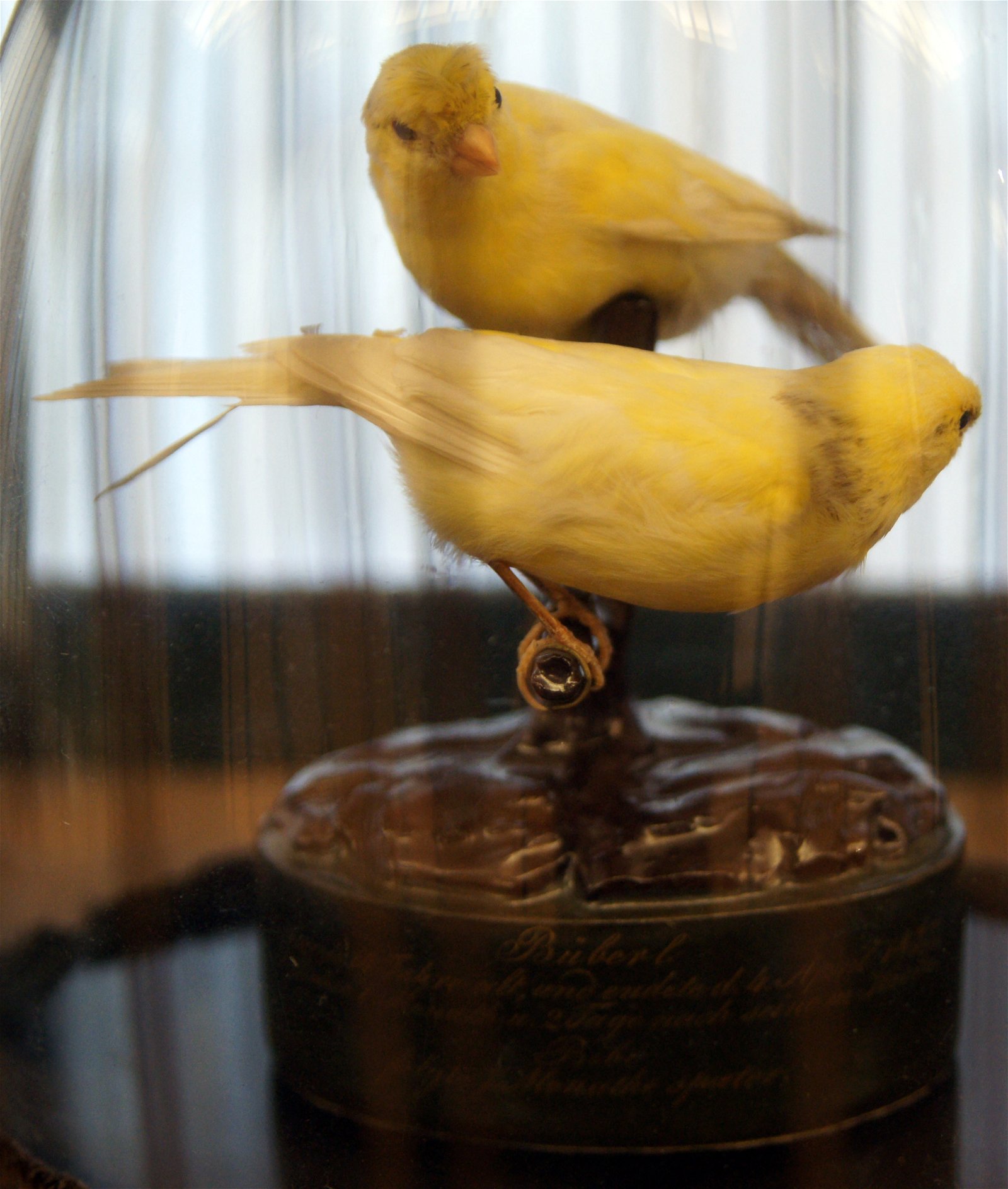 Imperial Furniture Collection