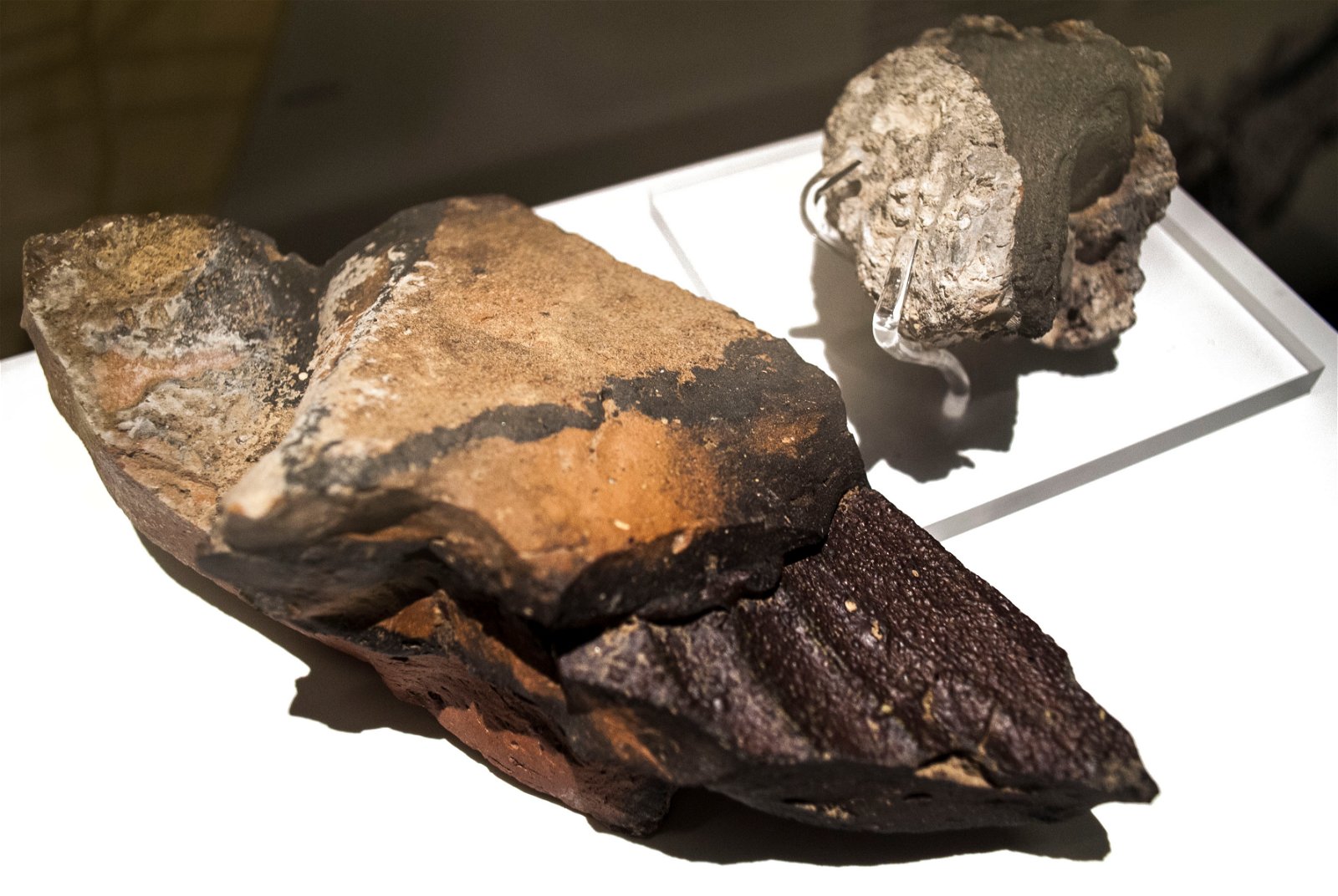 Roman Museum at the Hoher Markt