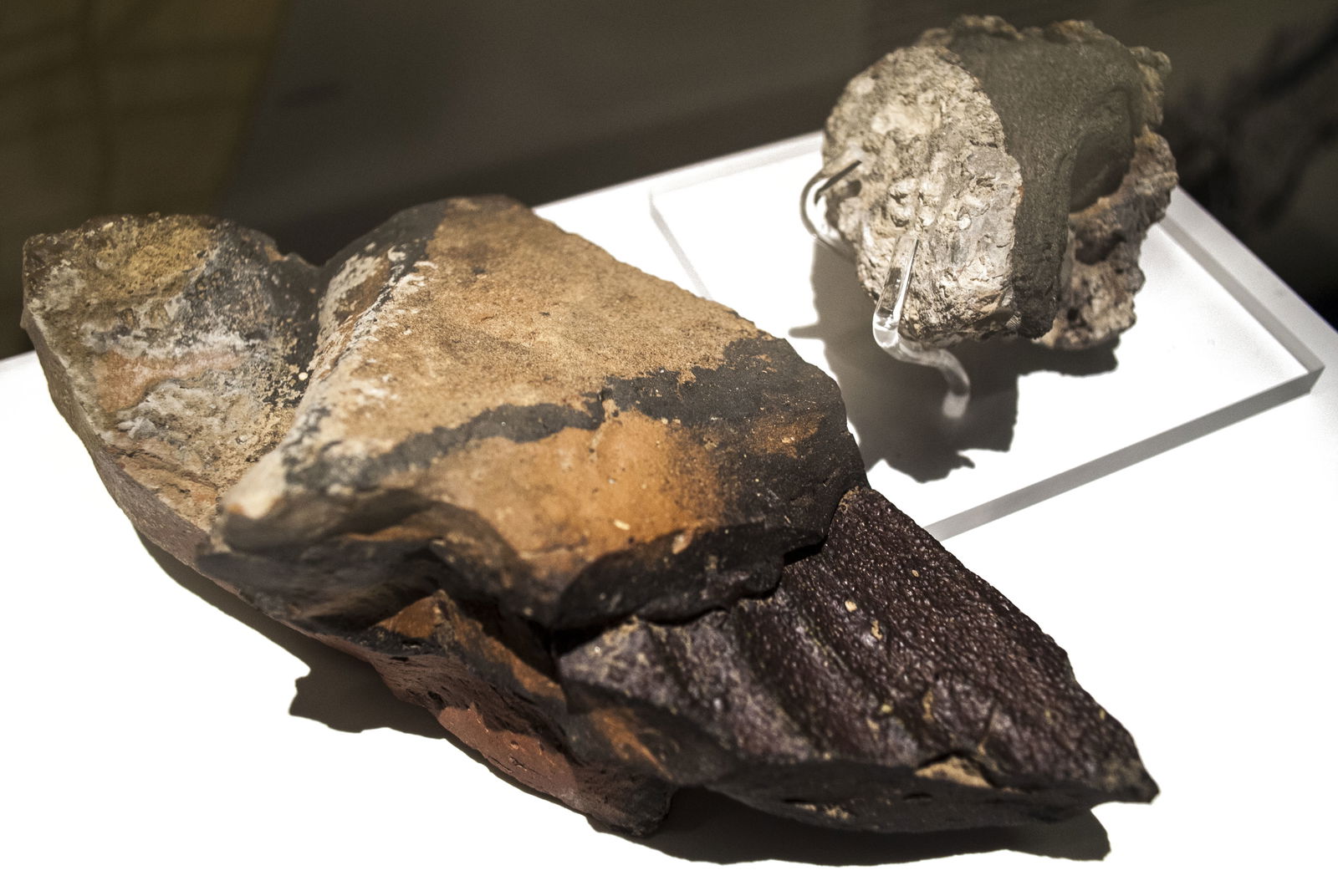 Römermuseum Wien - Wien Museum