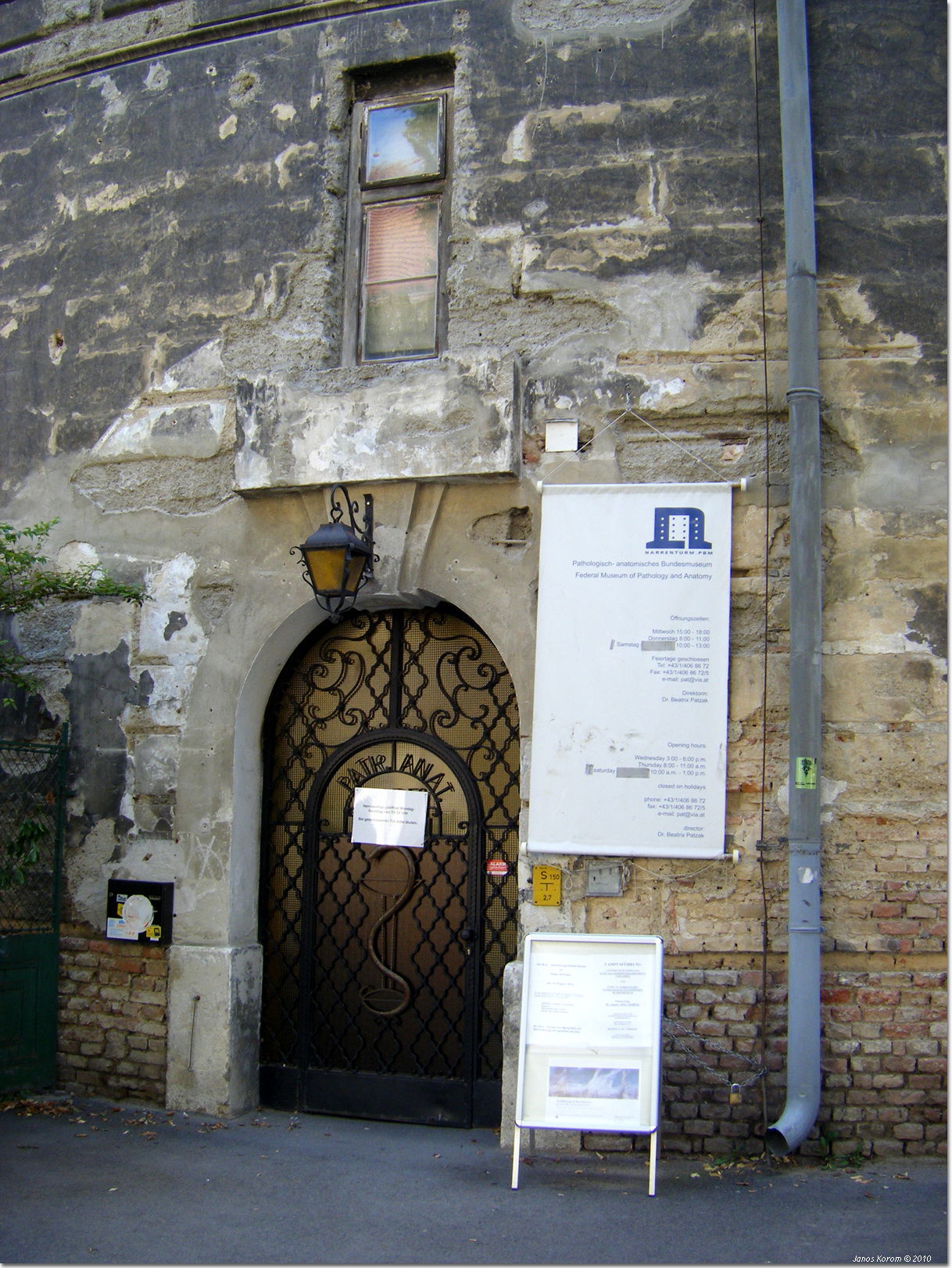 Pathologisch-anatomische Sammlung im Narrenturm - nhm