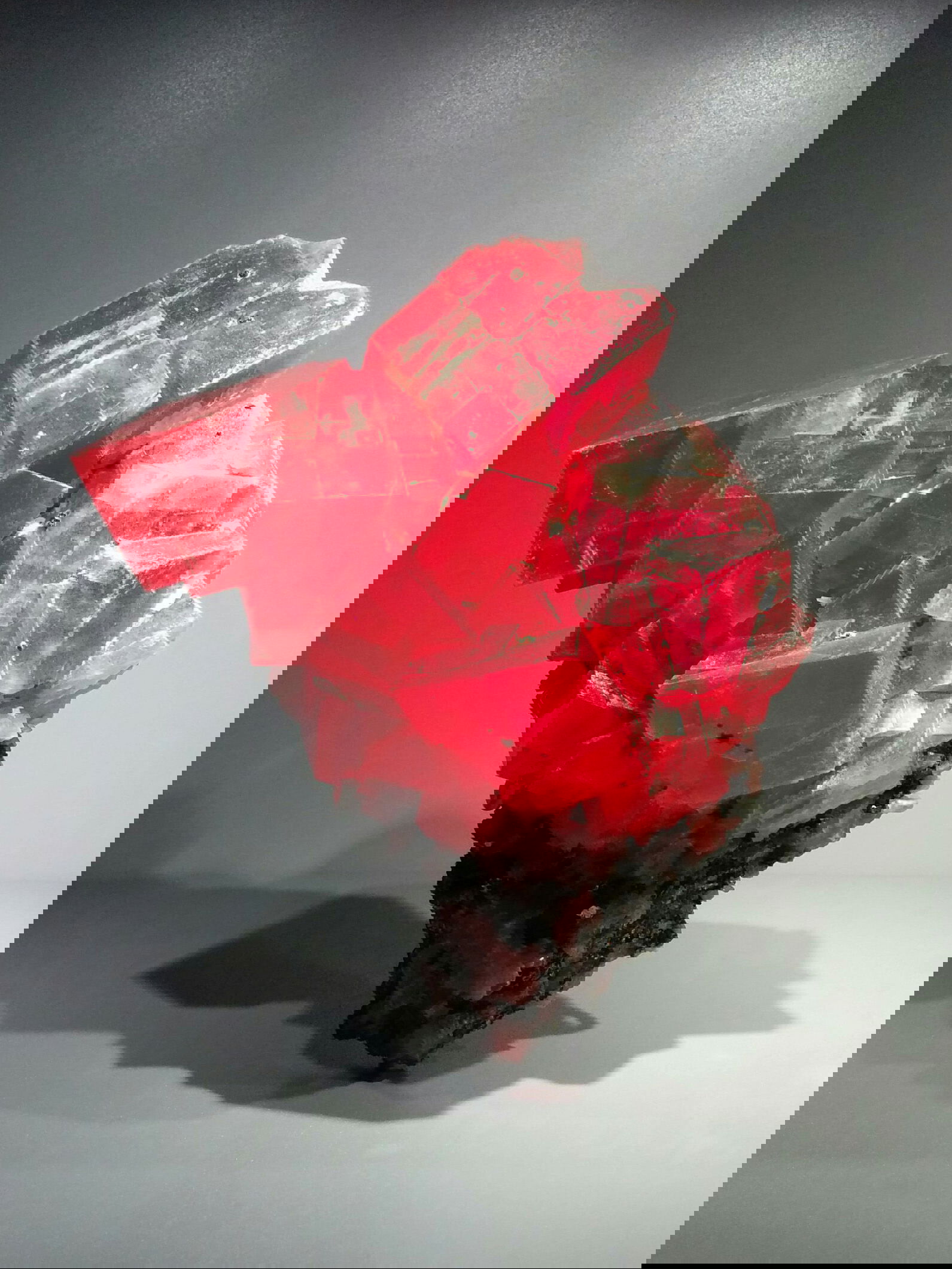 Galerie de Mineralogie et de Geologie