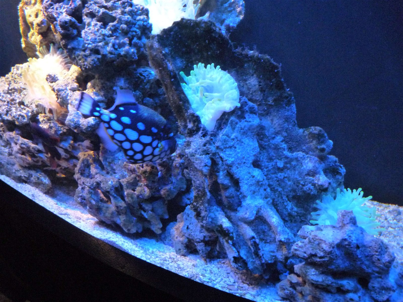 Aquaria Water Museum