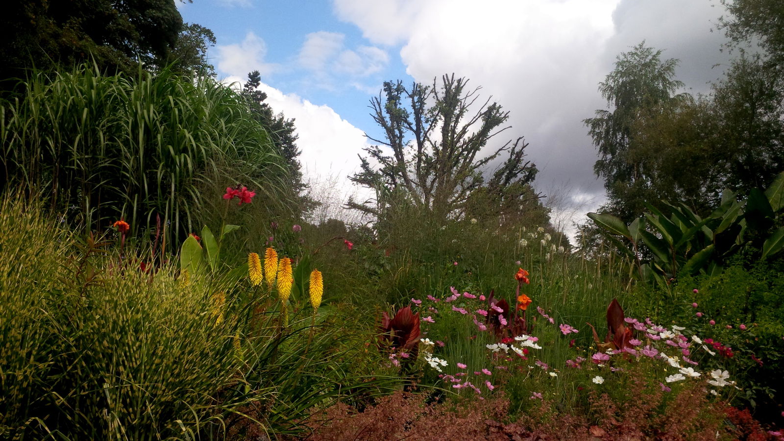 Jardín botánico de Birmingham