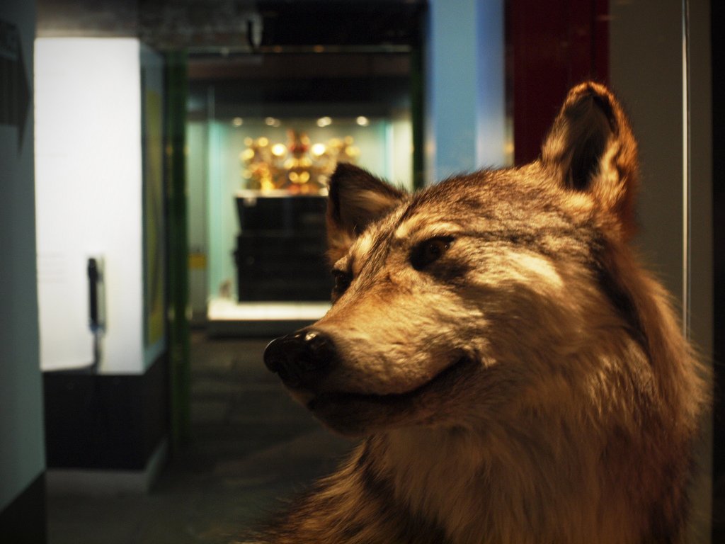 Merseyside Maritime Museum