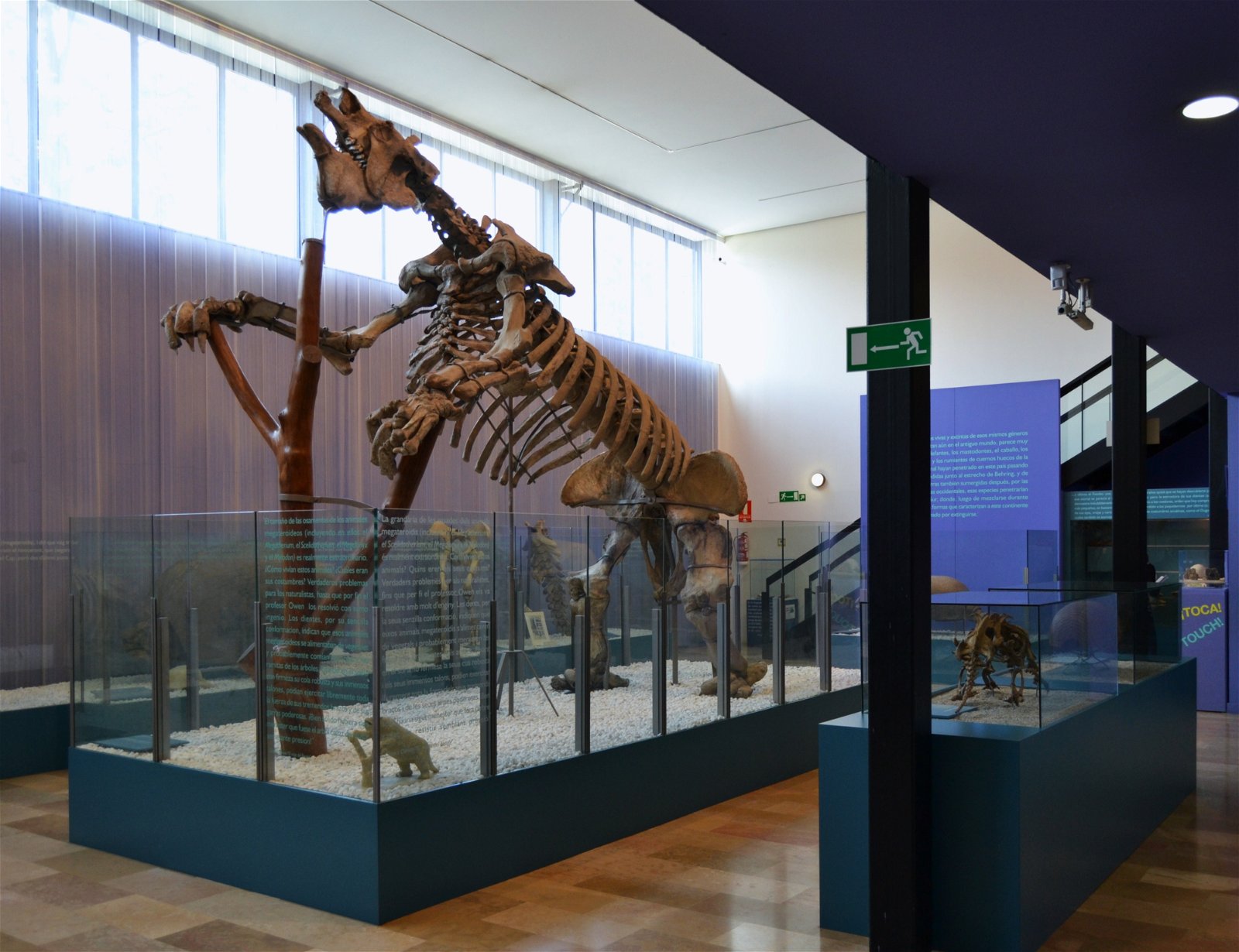 Museo de Ciencias Naturales