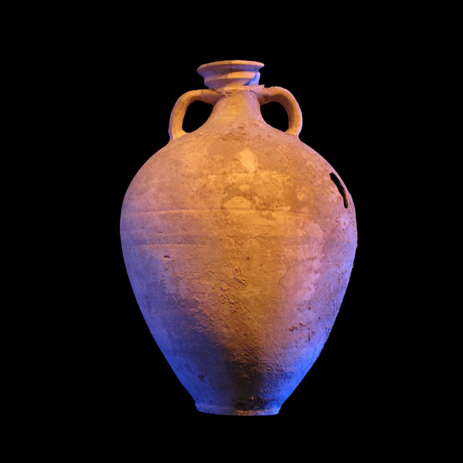 Musée des Docks Romains