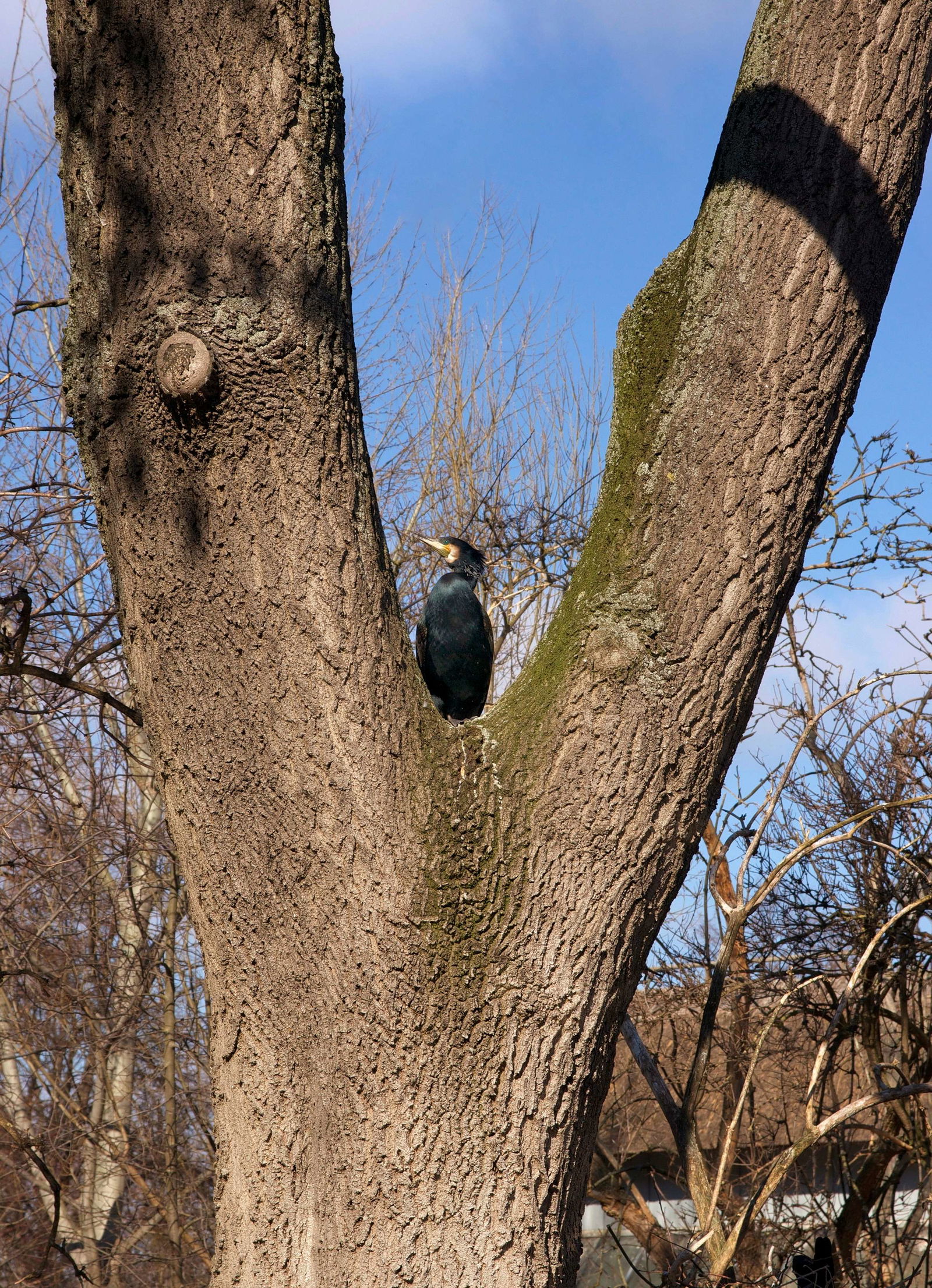 Tiergarten Schönbrunn