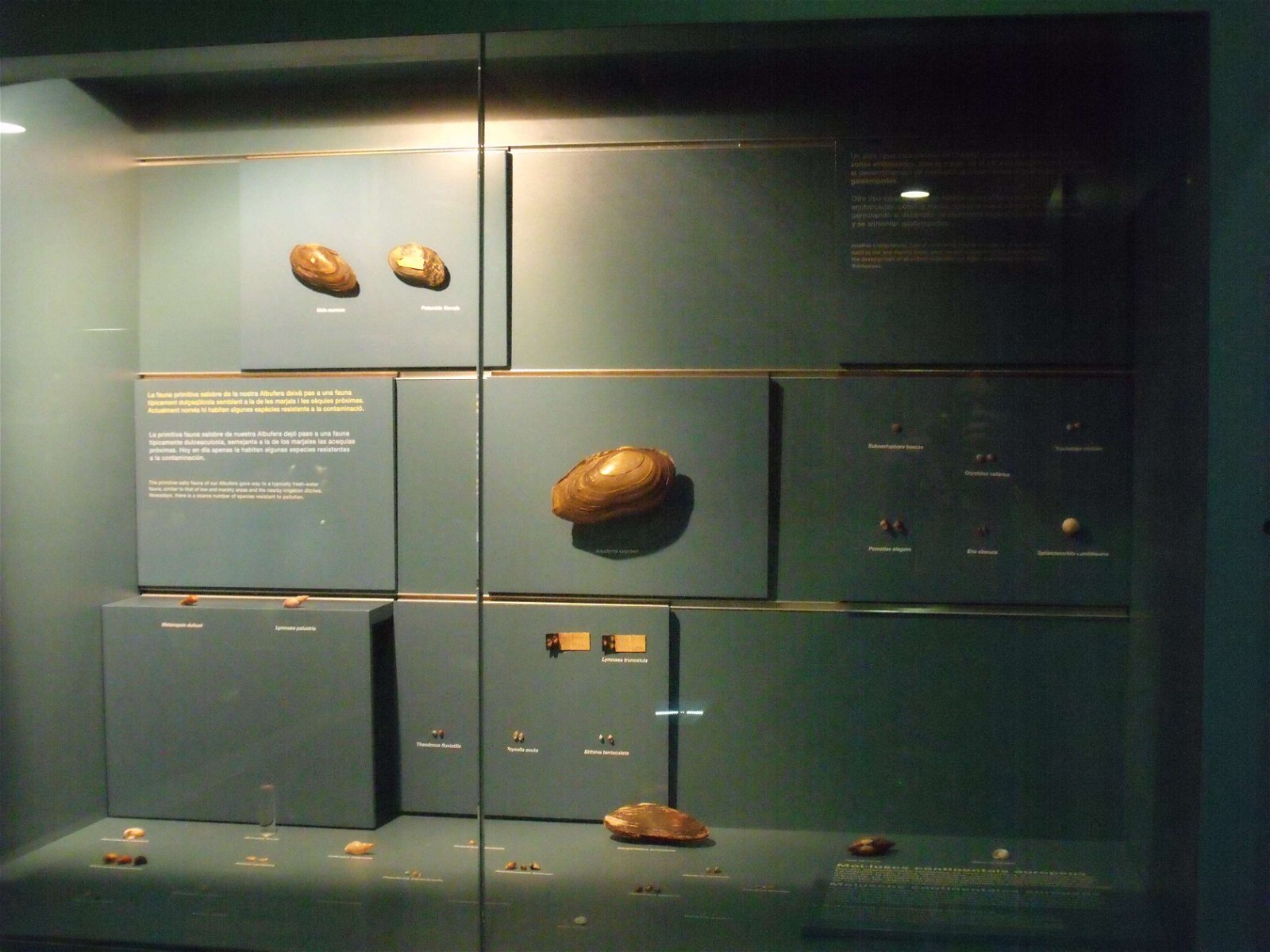 Museo de Ciencias Naturales