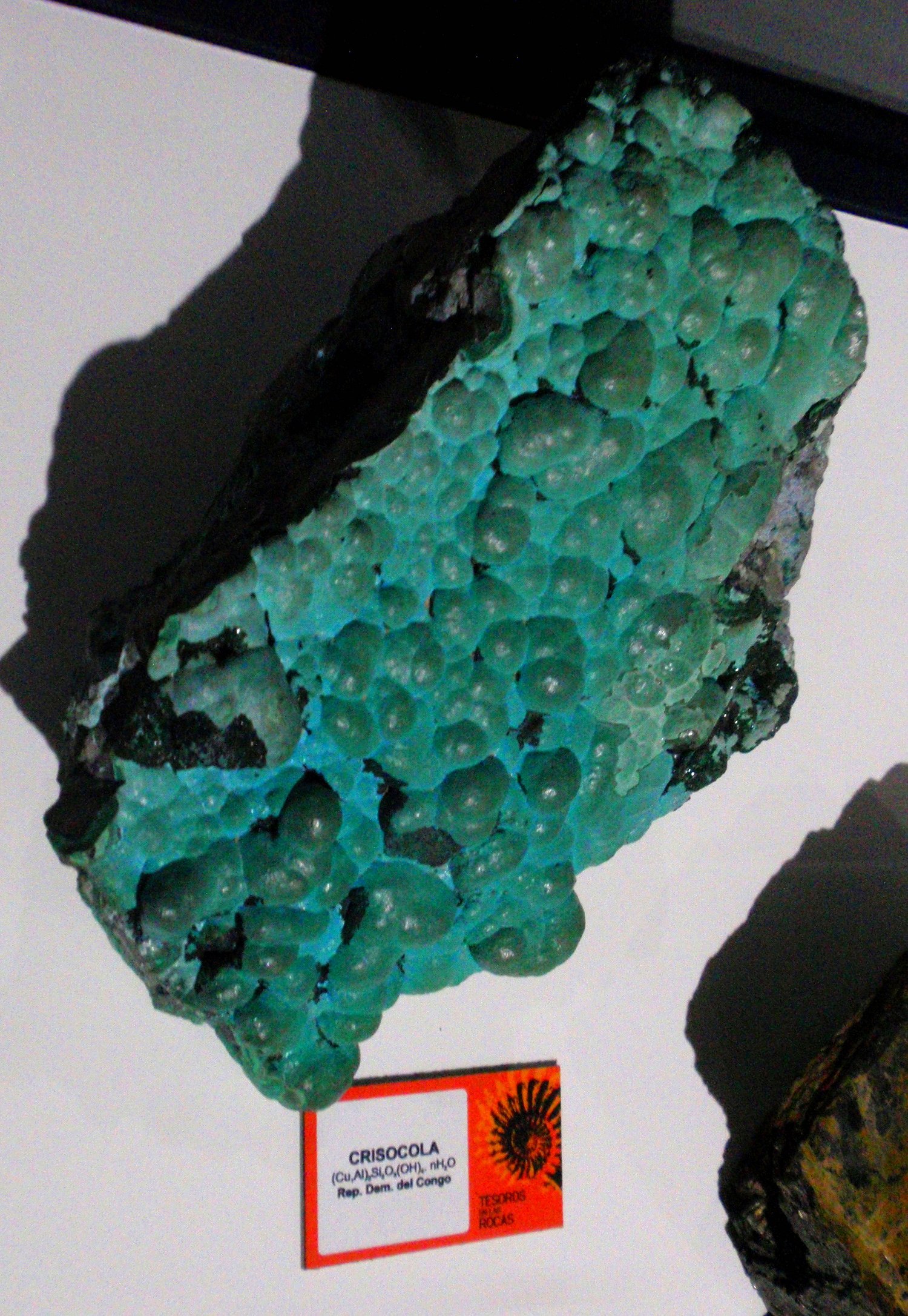 Museo Elder de la Ciencia y la Tecnología