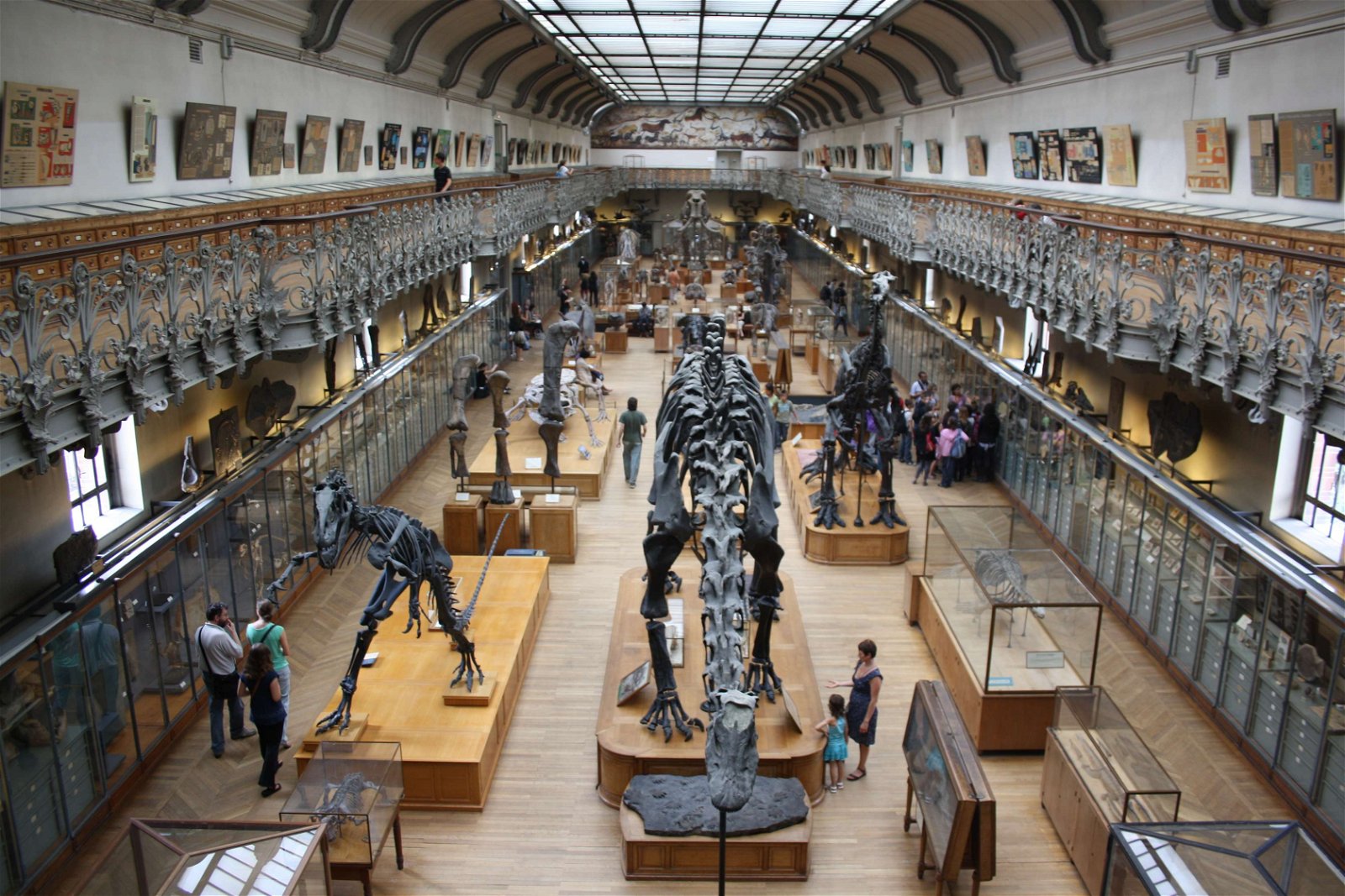Gallery of Paleontology and Comparative Anatomy