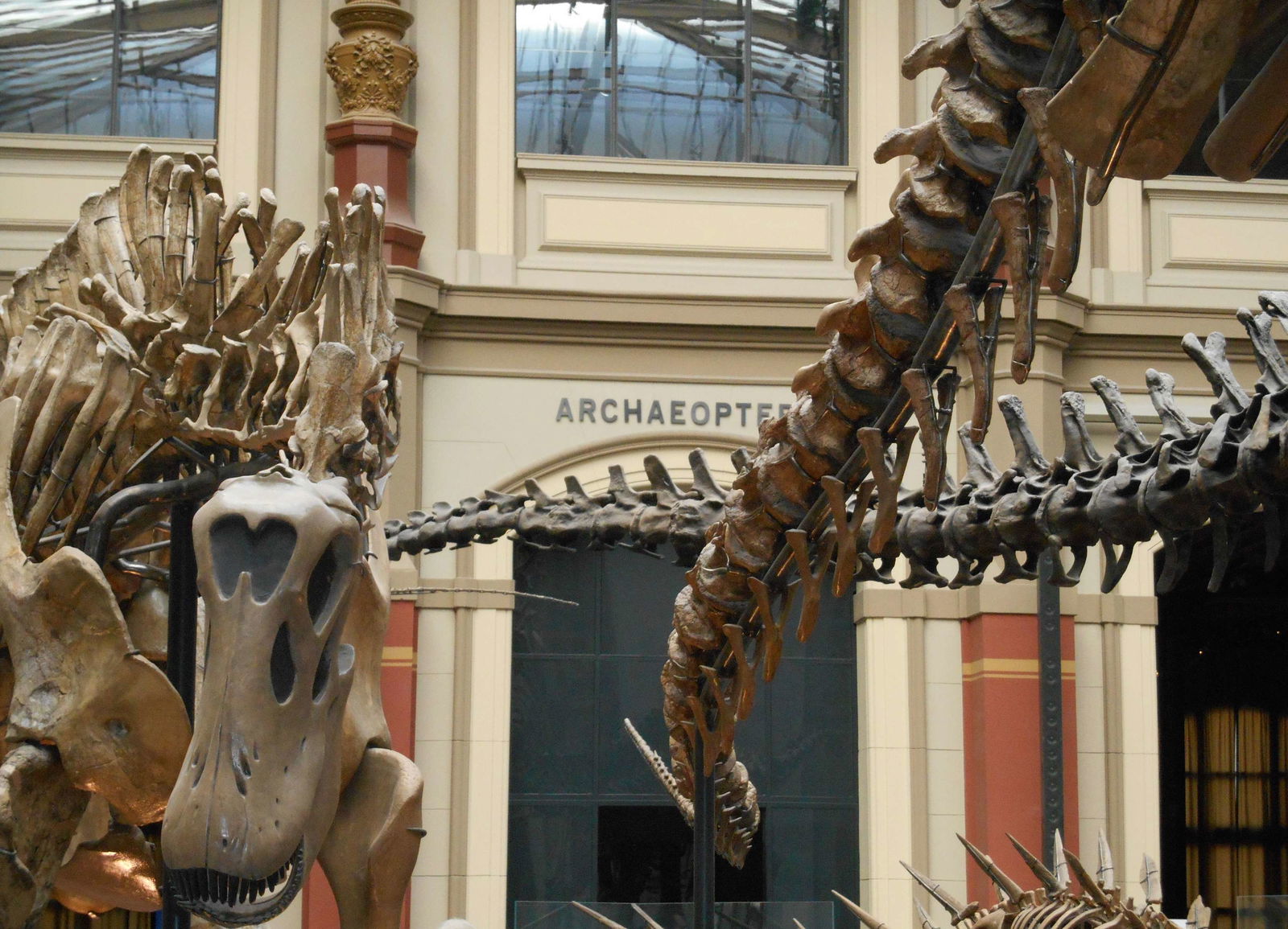 Museum für Naturkunde