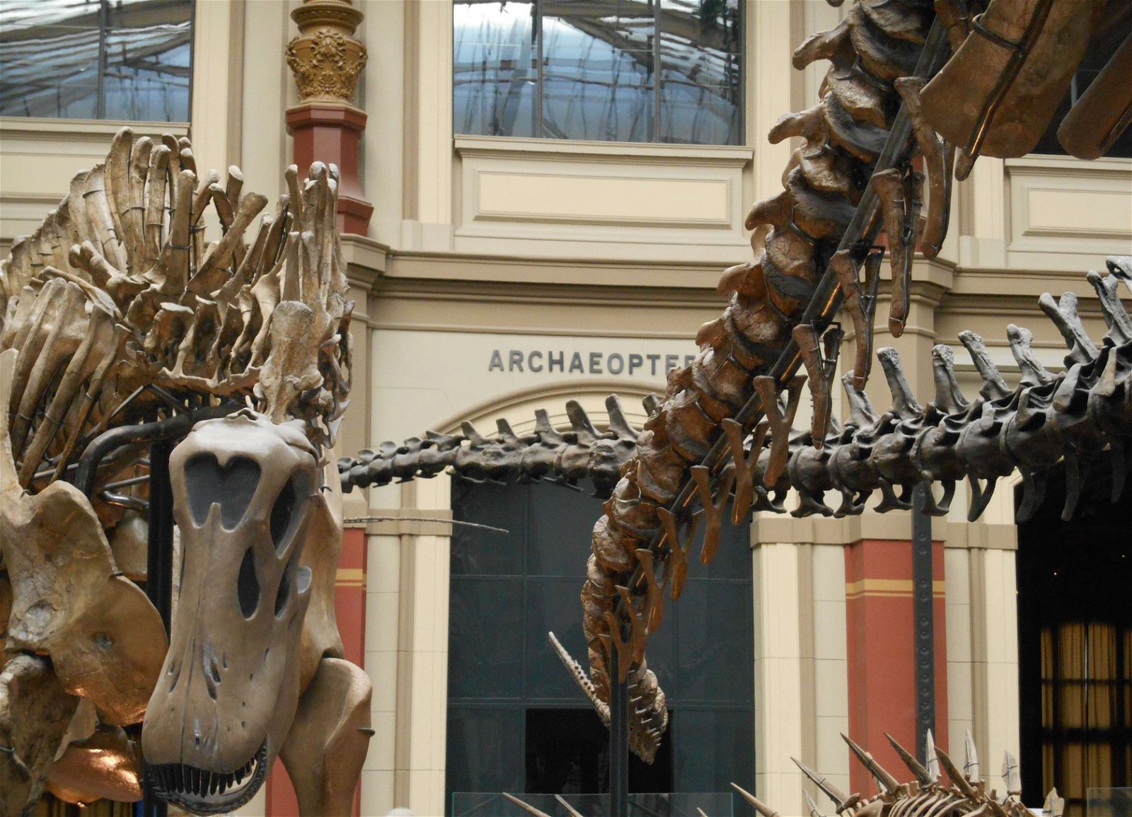 Natural History Museum Berlin