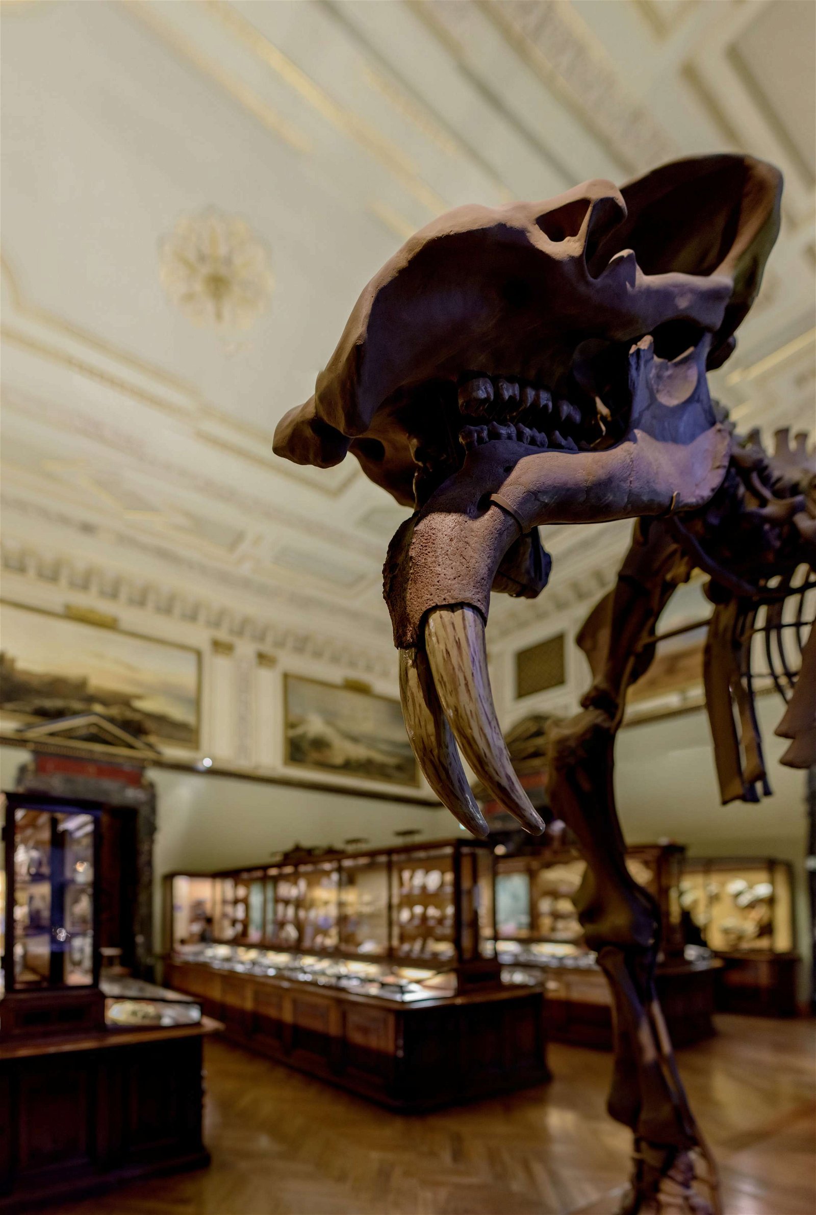 Natural History Museum