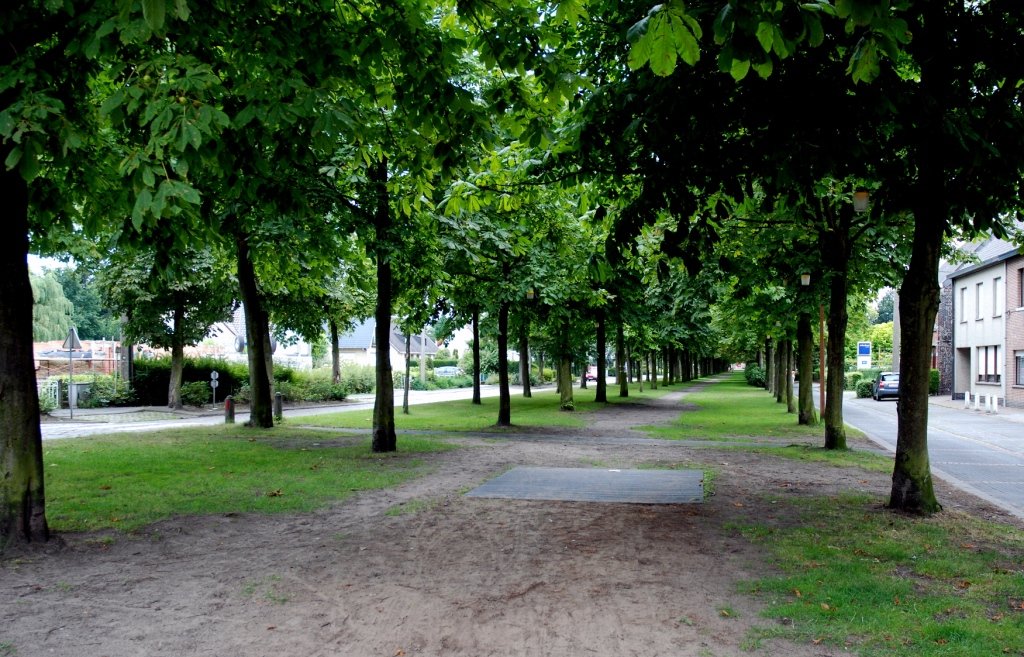 Het Kasteel van Laarne