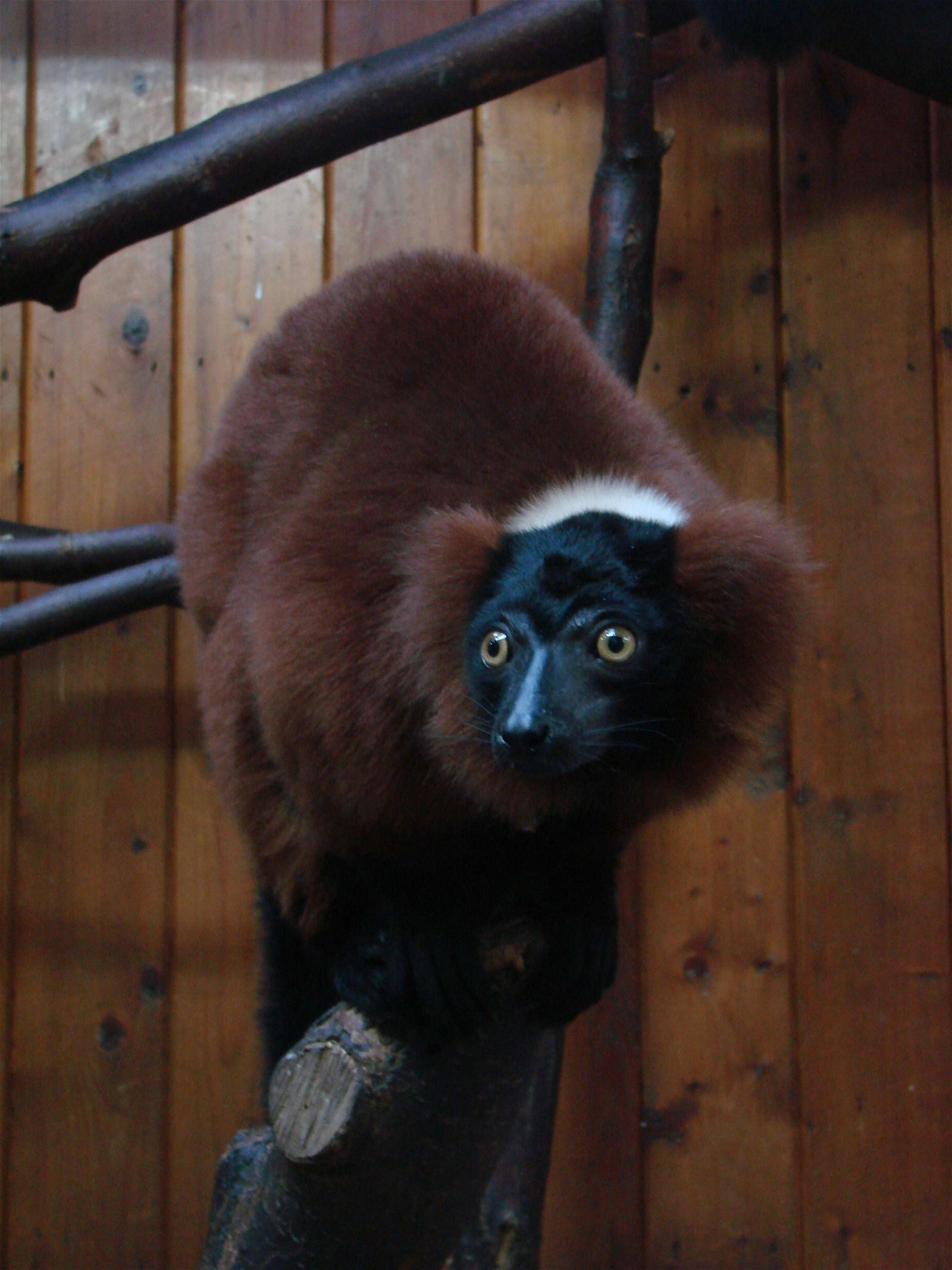 Wroclaw Zoo & Africarium